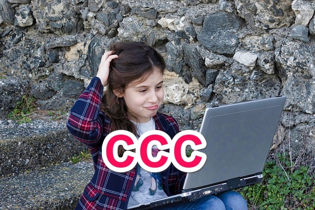 CCC Online Test in Hindi