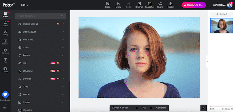 Fotor Photo Editor Review in Hindi - Website