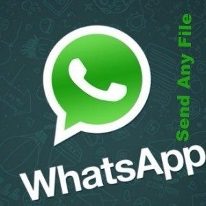 Whatsapp se 1 GB ki file or Koi Bhi Document Send Kare - Android