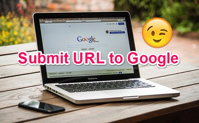 Submit URL to Google, Direct in SEPR [Google New Update]